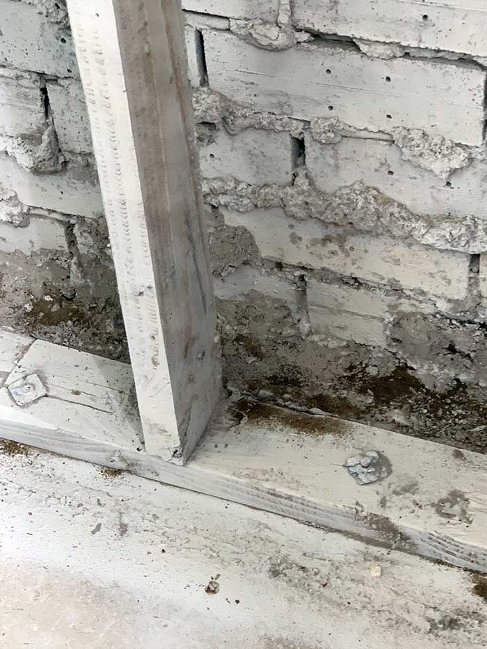 termite-inspection-2.jpg