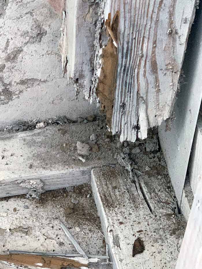 termite-inspection-3.jpg