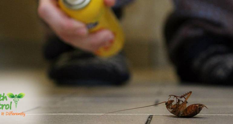 Why Commercial Pest Control is so Important for your Property