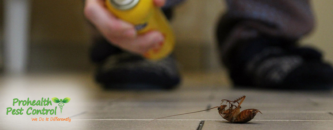 Why Commercial Pest Control is so Important for your Property
