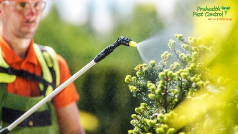 6 Major Benefits of Green Pest Control for Your Office Building