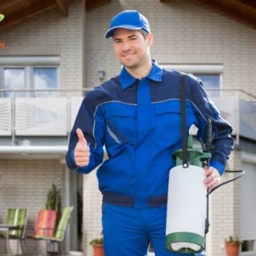 Why You Should Choose Non-Toxic Pest Control for Your Home