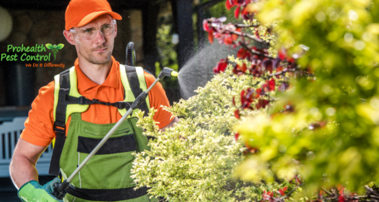 Natural Pesticides for Plants: Protect Your Garden from Pests!