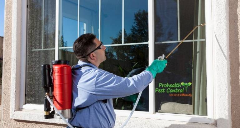 Why Organic Solutions Are Perfect for Commercial Pest Management