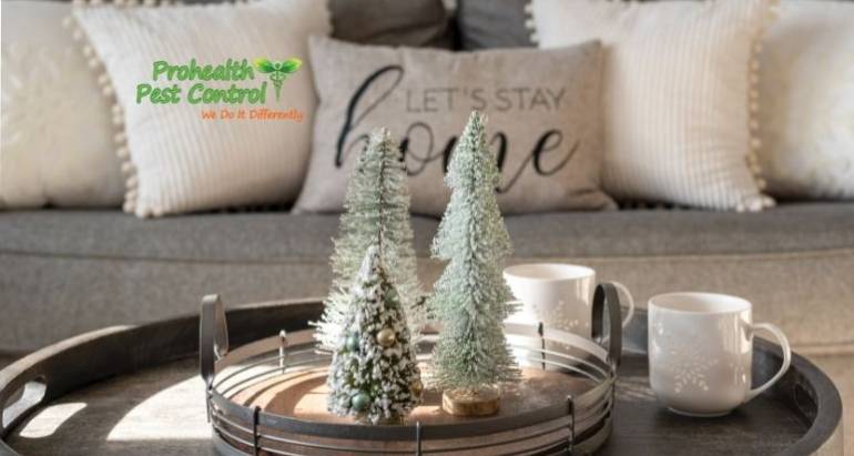 Why Homeowner’s See More Rodents Indoors During Winter