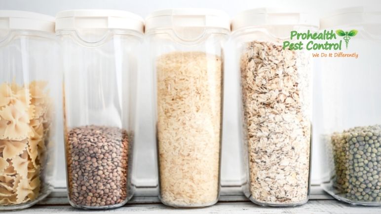 How to Store Food Properly to Keep Pests Out of Your Kitchen