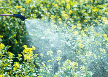 prohealth-pest-control-img14