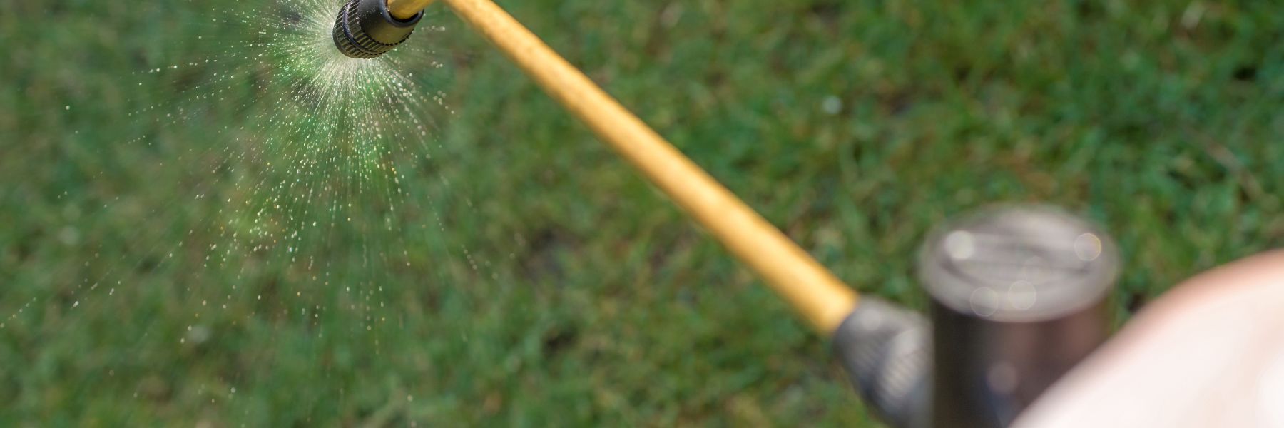 General Pest Plus in Tampa Bay General Pest Plus in Tampa Bay