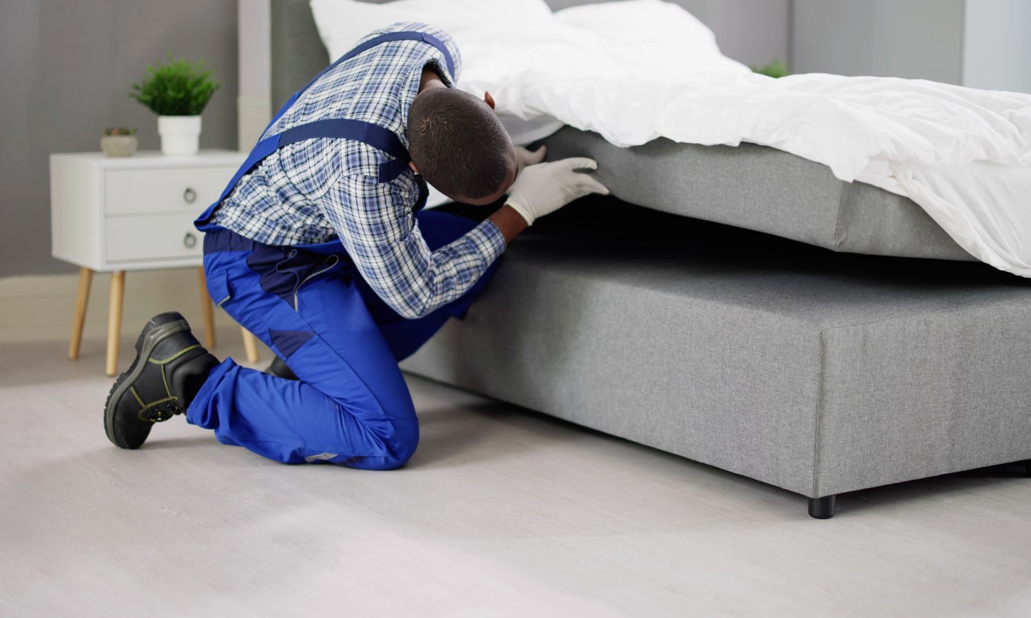 How to Avoid Bed Bugs When Traveling How to Avoid Bed Bugs When Traveling