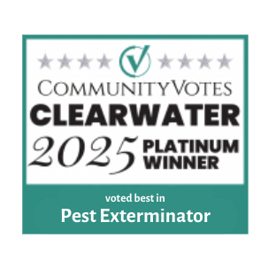 community-votes-clearwater