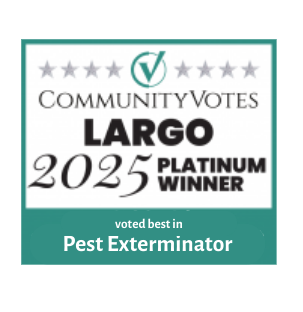 community-votes-largo