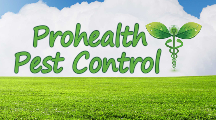 prohealth-pest-control-img39